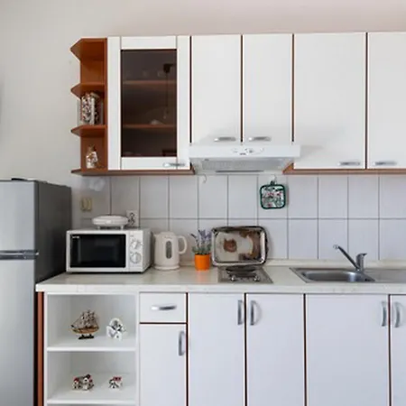 Apartament House Rasica Molunat