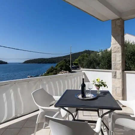 House Rasica Lejlighed