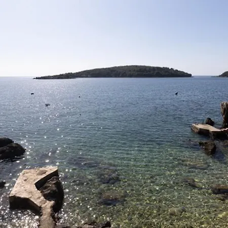 House Rasica * Molunat