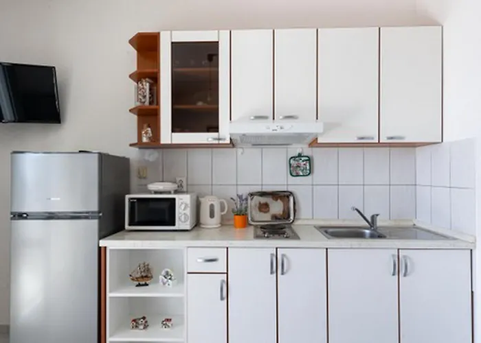 Daire House Rasica Molunat