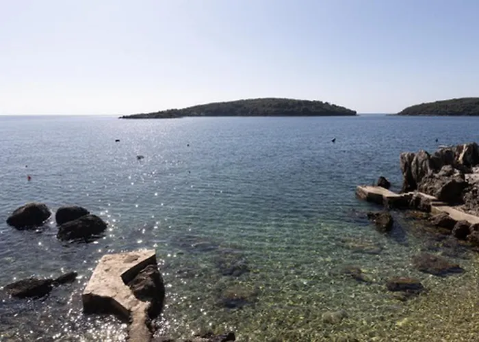 House Rasica * Molunat